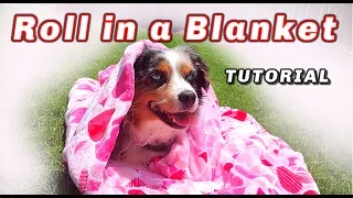 Roll In A blanket | Dog Trick Tutorial