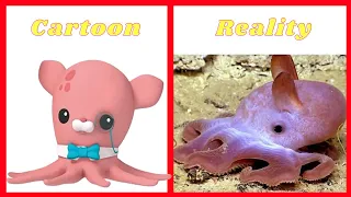 OCTONAUTS CHARACTERS IN REAL LIFE 2024 🐳🐬🐟🐇🐱(CARTOON 🆚 REALITY) 👍🏻@botobototv