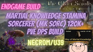 ESO Endgame Martial Knowledge Stamina Sorcerer (MkSorc) 120k+ PVE DPS Necrom U39