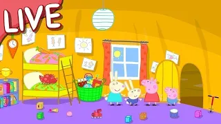 Peppa Pig Italiano LIVE 2023 🔴 Episodi Completi -  NUOVO! - Cartoni Animati