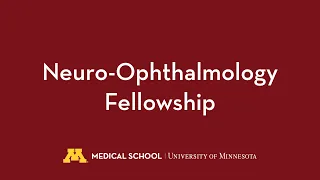Neuro Ophthalmology Fellowship