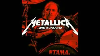 Metallica - 21 - Seek And Destroy (Live In Jakarta 2013)