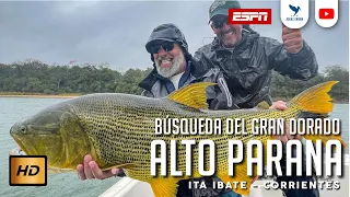 Pesca de Dorados Río Alto Parana junto a Pinti Lodge Dorados on the fly Aguas Arriba Argentina