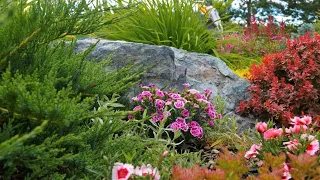 🌺Красивый и ухоженный сад Примеры садовых композиций / Examples of garden compositions / A - Video