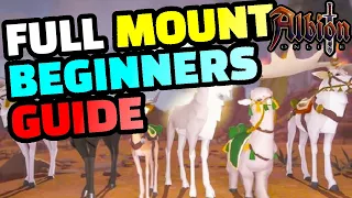 The BEST Albion Online Mount Guide For Beginners