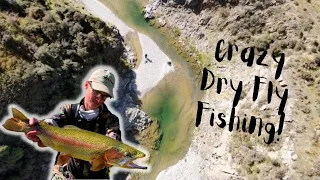 CRAZIEST DRY FLY SESSION EVER!! (CRYSTAL CLEAR RIVER)