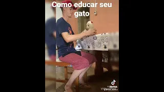 Como educar seu gato 😌😂