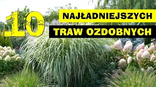 10 najładniejszych TRAW OZDOBNYCH