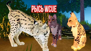 Скин рыси в котах воителях. Warrior cats ultimate. How to make a lynx skin in warrior cats