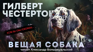 УДИВИТЕЛЬНЫЙ ДЕТЕКТИВ! | Гилберт Честертон - ВЕЩАЯ СОБАКА | Аудиокнига (Рассказ) | Большешальский