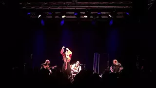 Excerpt from Al Di Meola's concert with dance improvisation by Ornili Azulay