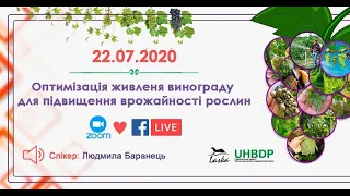 Оптимізація живлення винограду для підвищення врожайності