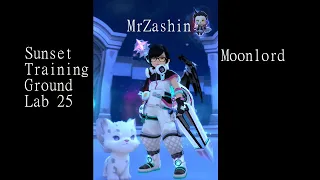 Dragon Nest SEA Moonlord STG Lab 25