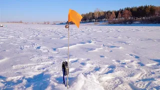 ЖЕРЛИЦЫ НЕОЖИДАННО НАЧАЛИ СРАБАТЫВАТЬ ПОД САМЫМ БЕРЕГОМ НА МЕЛКОВОДЬЕ.ГДЕ ИСКАТЬ ЩУКУ В ГЛУХОЗИМЬЕ.