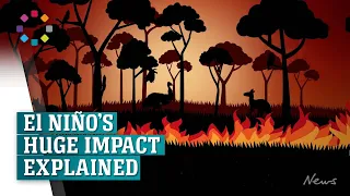 El Niño's huge impact on Australia explained