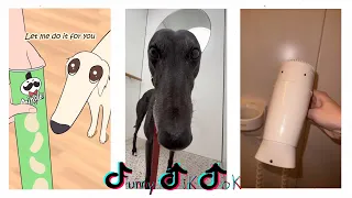 LONG DOG NOSE - TikTok Meme Compilation | ("let me do it for you" dog meme)
