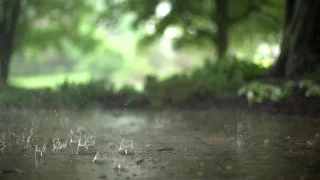 1 Hour Rain & Thunderstorm Sounds | Relaxing Storm Ambience