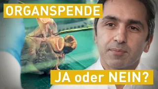 Will ich meine Organe spenden? | engel fragt | Dokus & Reportagen