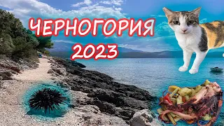 Черногория/Montenegro. Баошичи и не только. Отпуск 2023.