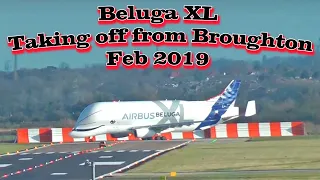 Beluga XL taking off from Broughton (Airbus) Feb 2019