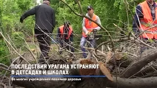 КРТВ. Последствия урагана устраняют в детсадах и школах