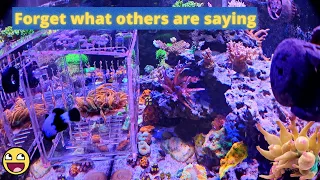 Reef Tank Therapy - What every person needs to hear