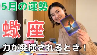 【蠍座】あなたの力が発揮される！準備はできています。| 癒しの占いで5月の運勢をみる