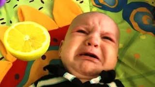 Baby Eats Lemon - A Babies Eating Lemons For The First Time Compilation 2016 || NEW HD