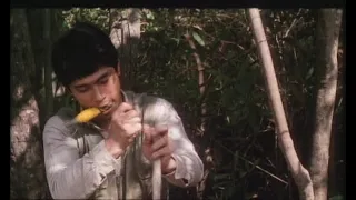 Himatsuri (Mitsuo Yanagimachi, 1985) · 火まつりFire Festival