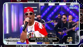 DANNY EL PAPI OFICIAL MI TORTOLITA COLOR MARRÓN EN  VIVO