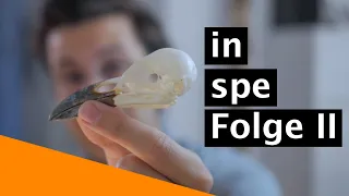 in spe - Folge II - Tiermedizinstudium, der Anfang