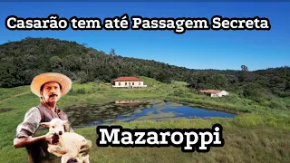 Fazenda Ribeirão - FILME DE MAZZAROPI - Casinha Pequenina