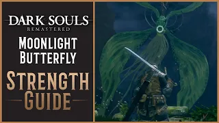 Moonlight Butterfly vs. Strength Warrior - Sword and Shield | Dark Souls Class Guides
