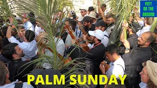 Joyful Palm Sunday Procession  - Jerusalem 2022 - Start of Holy Week