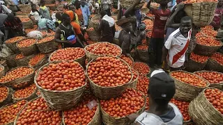 Nigeria: Families struggle amidst high food prices