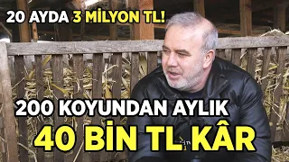 200 Koyundan Aylık 40 Bin TL Kâr /  20 Ayda 3 Milyon TL!