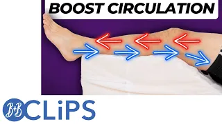 Best 3 Options To Increase Leg Circulation/Blood Flow Without Exercise (B&B Clips)