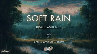 Soft Rain in the Jungle | NO ADS | Soothing Rain Sounds For Sleeping