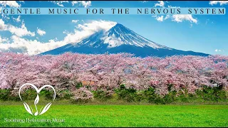 Relaxation Music For Restoration Of The Nervous System