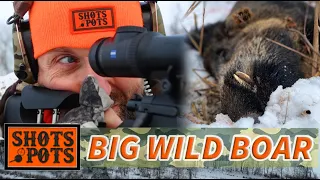 WILD BOAR HUNTING IN SWEDEN - Lubbe has a lucky day