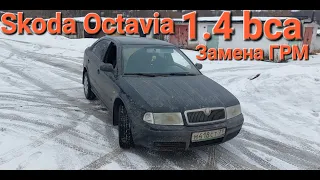 Замена ремня ГРМ на SKODA OKTAVIA 1.4 bca