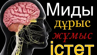 Миға қиын жұмыстарды істетіп үйрет / ғылыми зерттеуден 3 анықтама