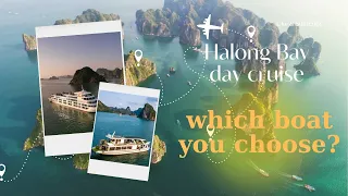 Halong Bay day cruise! Which boat to choose?