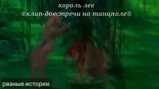 Король лев-довстречи на танцполе