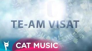 directia 5 - Te-am visat (Lyric Video)