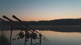 Karpių žvejyba. Laumena - 12 sektorius. (Carp Fishing @ Laumena)