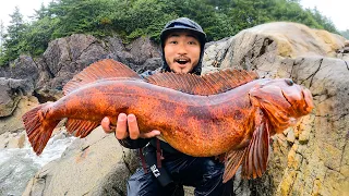 GREATEST CATCH AND COOK OF ALL TIME | Alaska Coastal Foraging, Red Lingcod, and Hot Springs