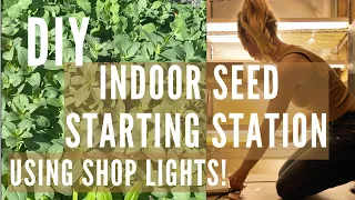 DIY Indoor Seed Starting Station: Affordable Setup with Shop Lights!