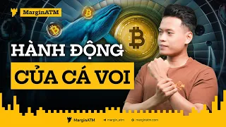 Hành động ĐÁNG NGỜ từ Cá voi Bitcoin??