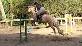 110 (treino de hipismo 18/08/2023)